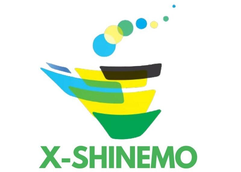 X shine logo