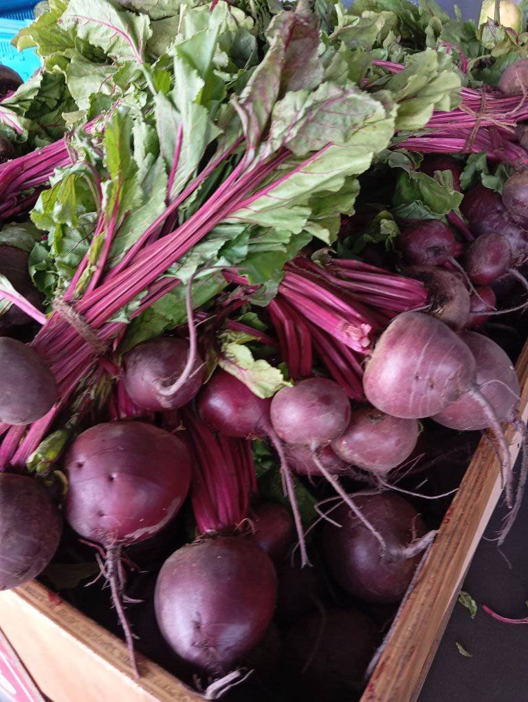 Beetroots at Standout fresh produce