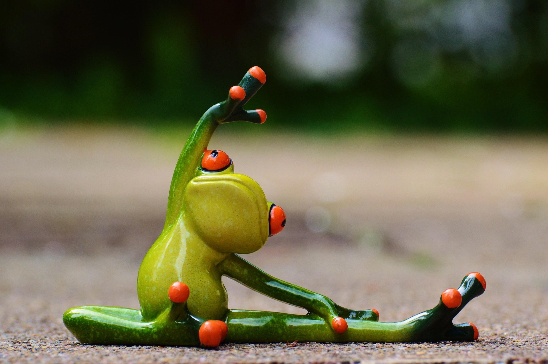 sports-gymnastics-frog-fun-fitness