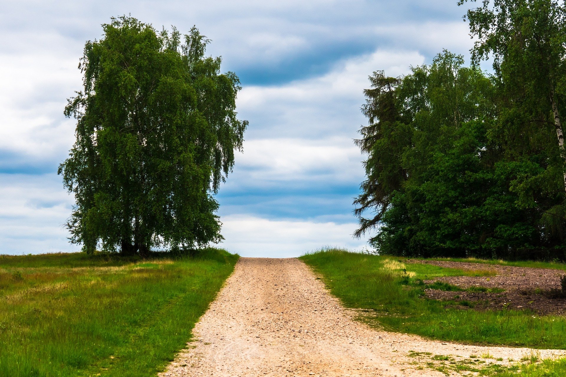path-excursion-travel-tree-heaven