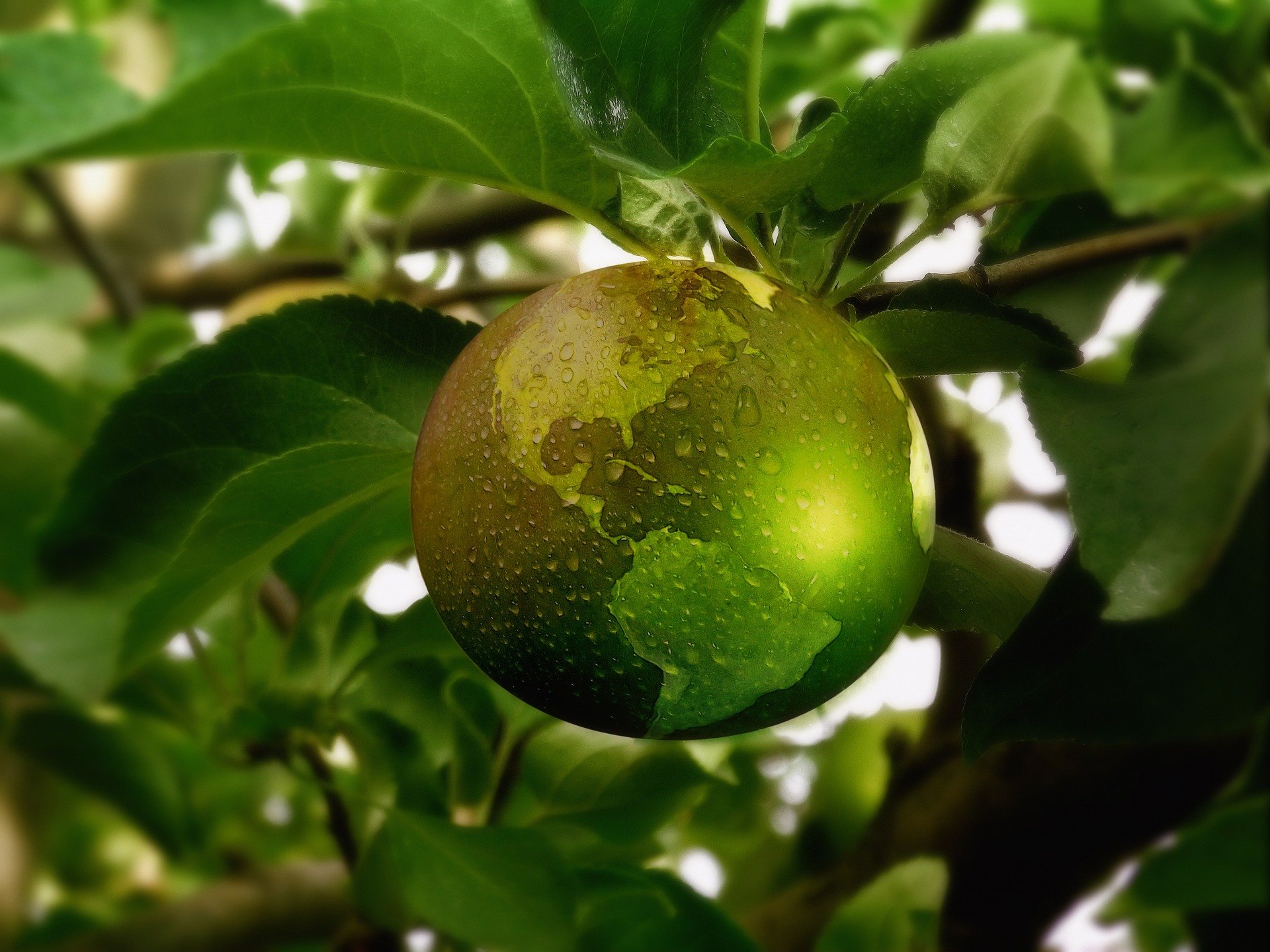 sustainability-energy-apple-globe