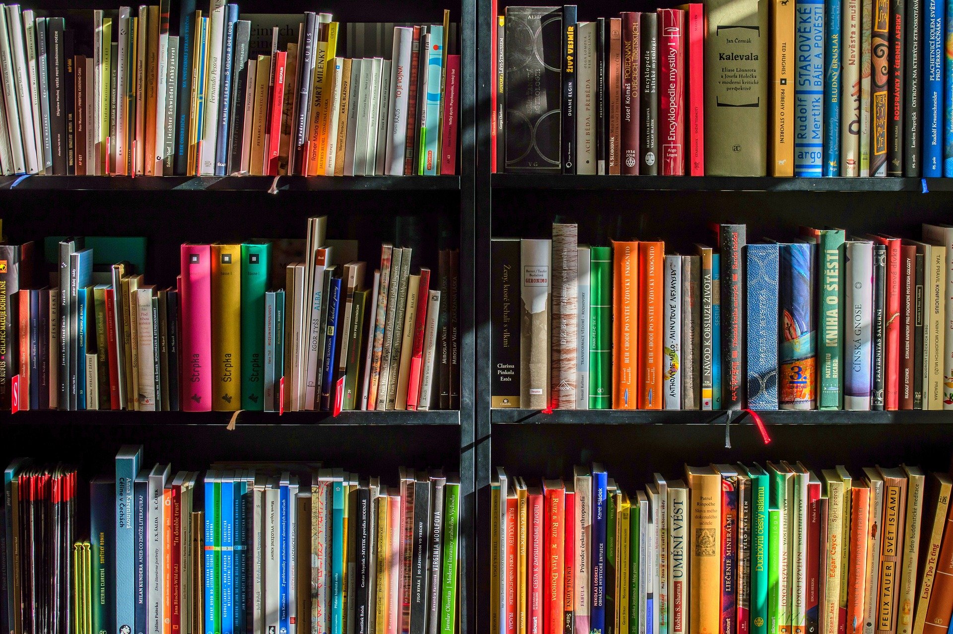 christmas-background-books-bookstore