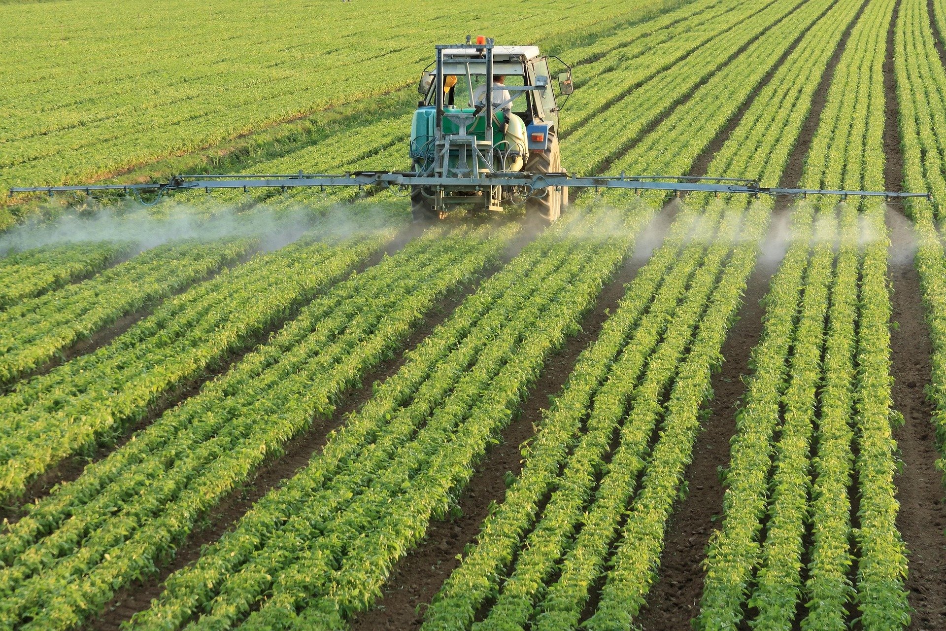 agriculture-farming