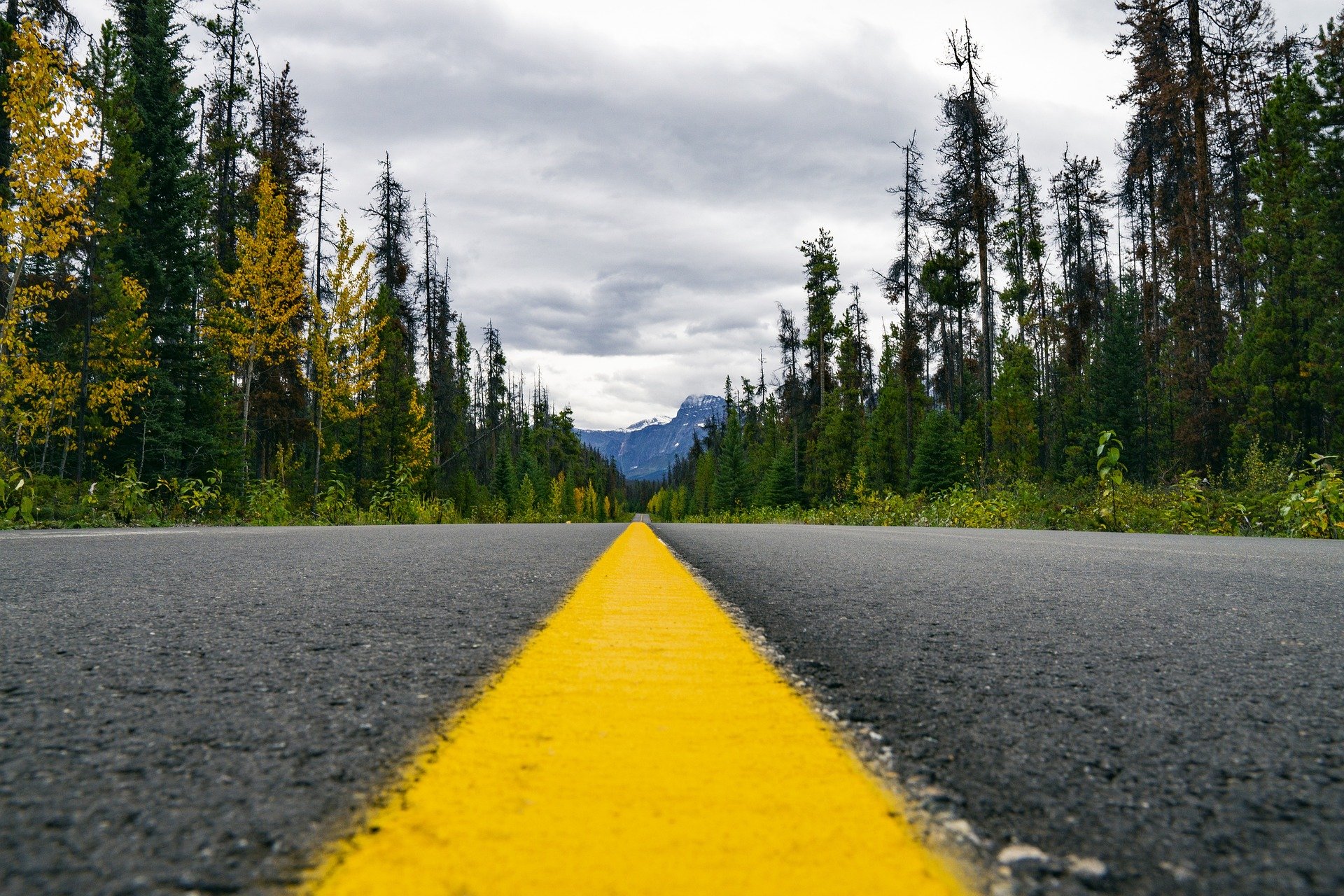 highway-wilderness-yellow-line