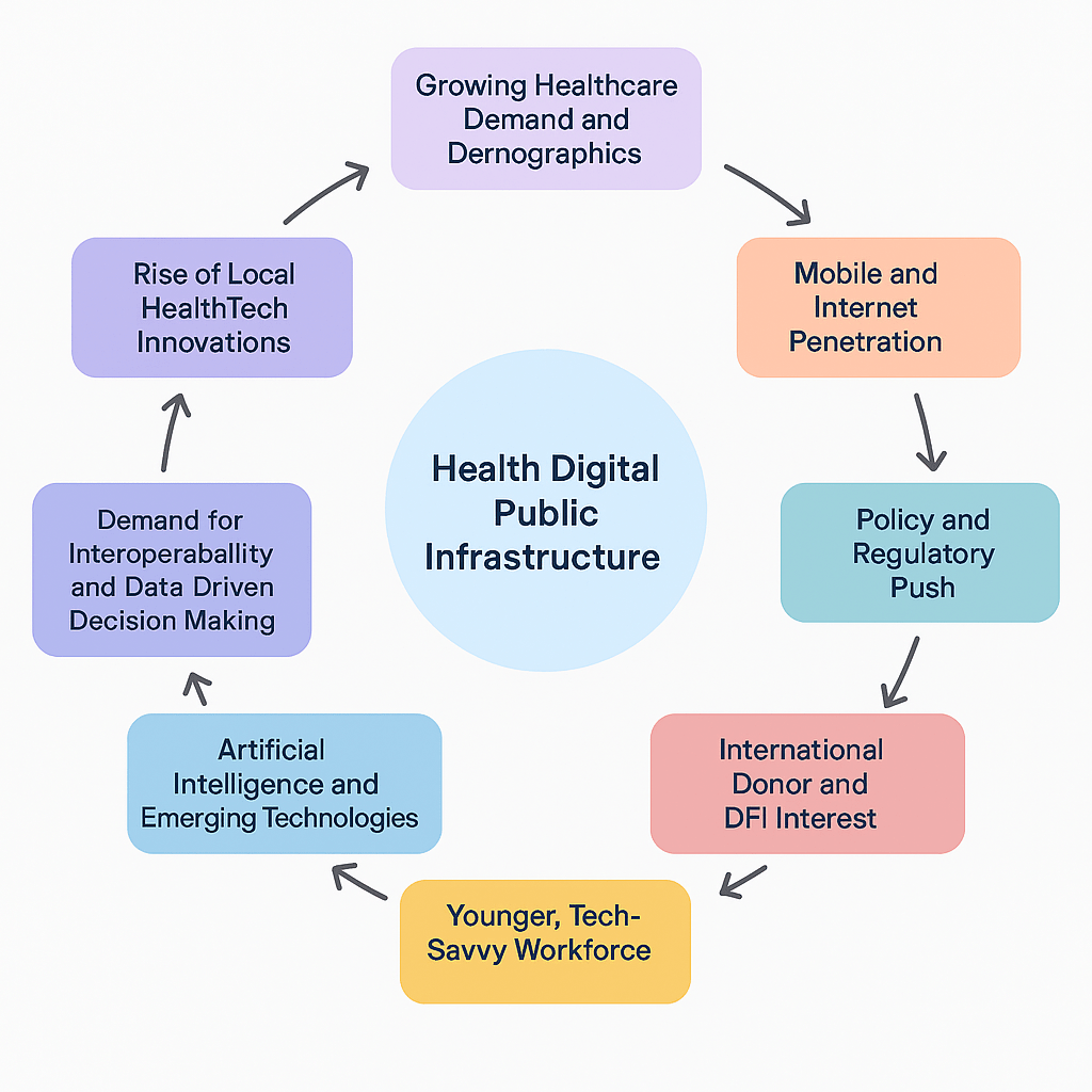 Key Drivers of Health Digital Public Infrastructure Development in Africa