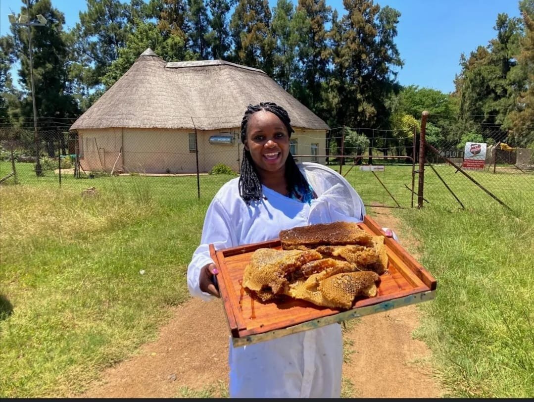 sefudi farms showcasing honey