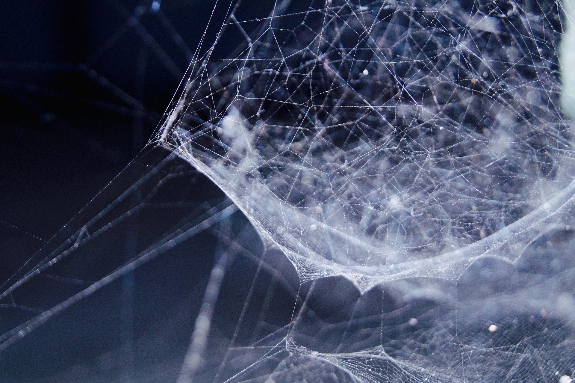 web-network-link-blue-network
