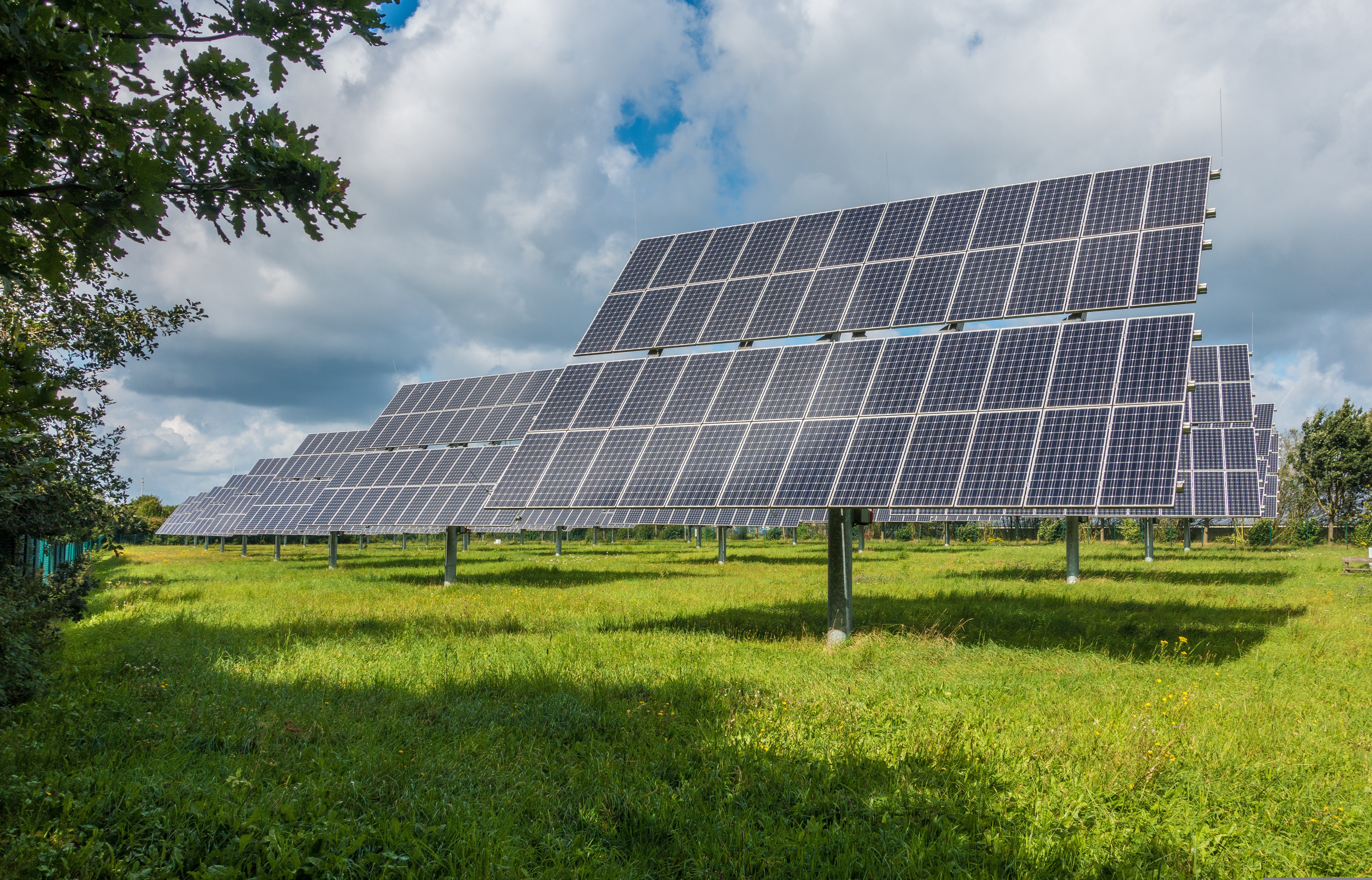 The Education Support Forum Launches Major Green Energy Workforce Development Initiative Supported by The Jobs Fund