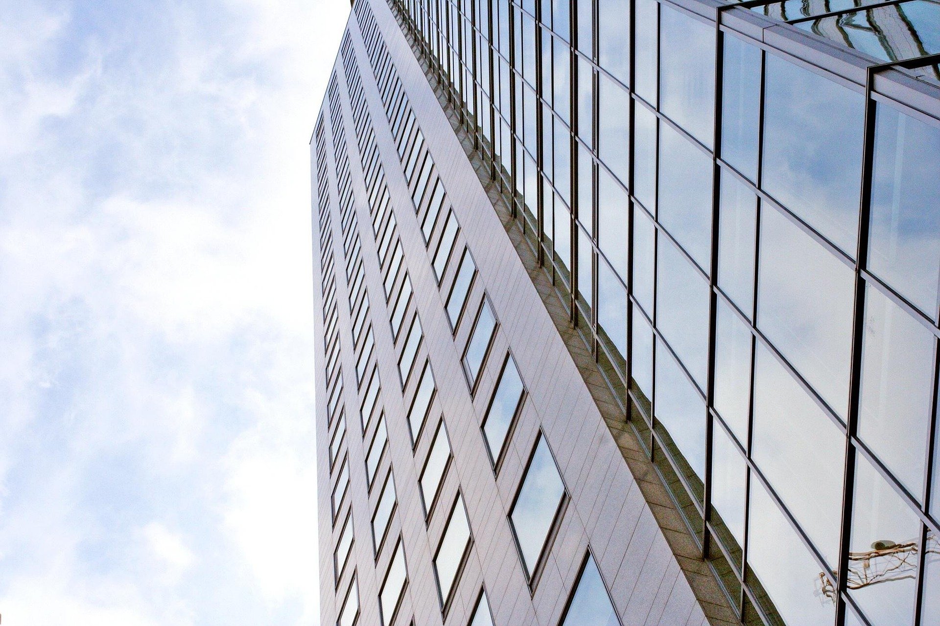 building-company-high-rise