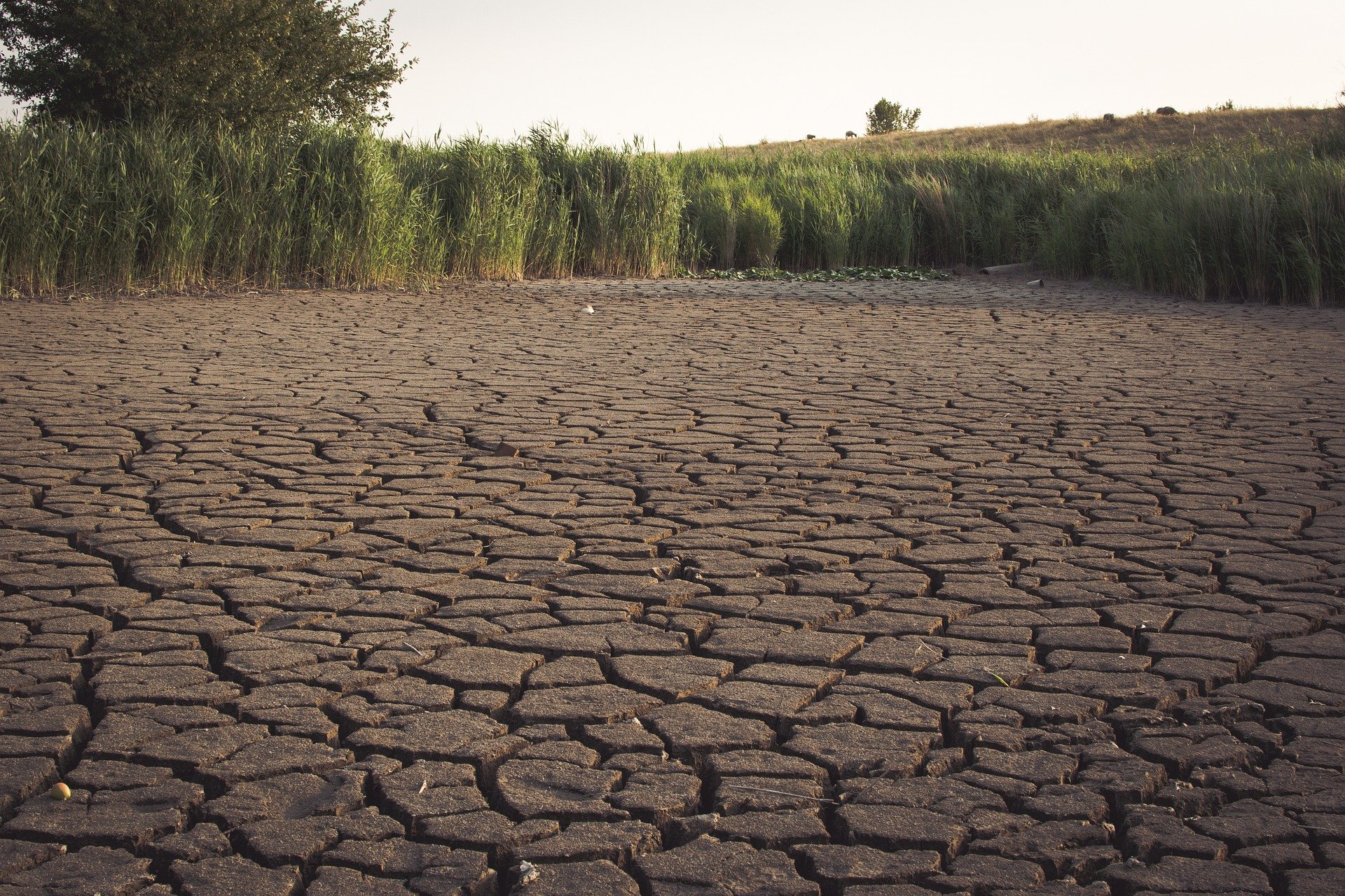 dried-out-lake-dry-dryness-drought